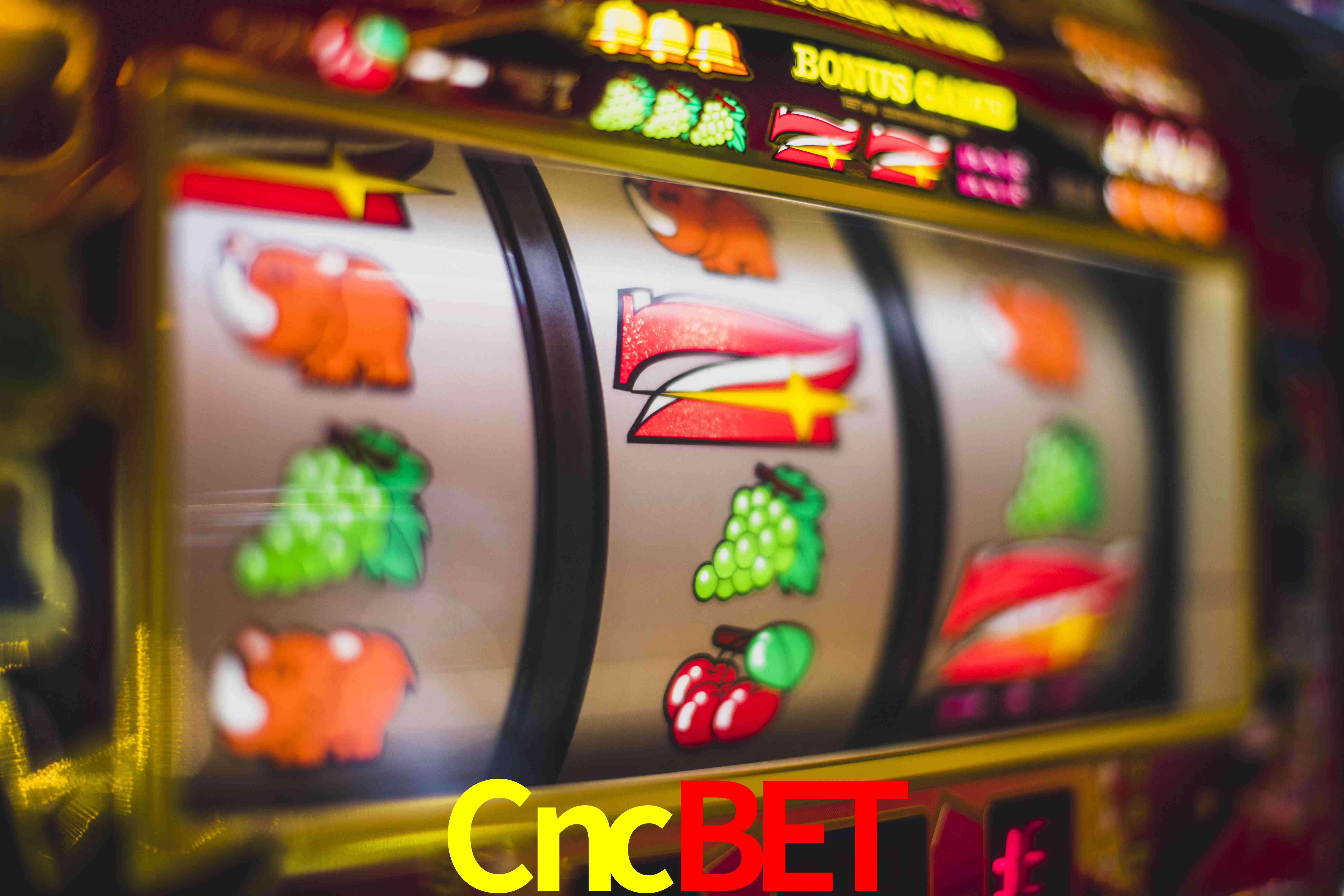 Football Betting Cncbet