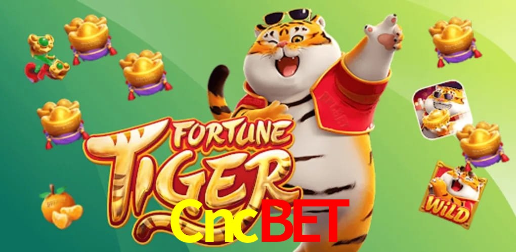 Experiência VIP Cncbet